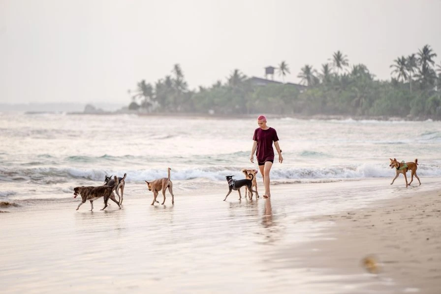 Coastal Living at Thaproban